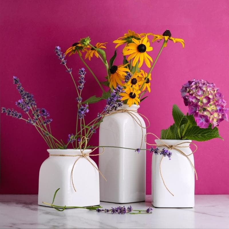 Three white ceramic vases with lavender, black-eyed Susans, and hydrangea on a magenta backdrop.
